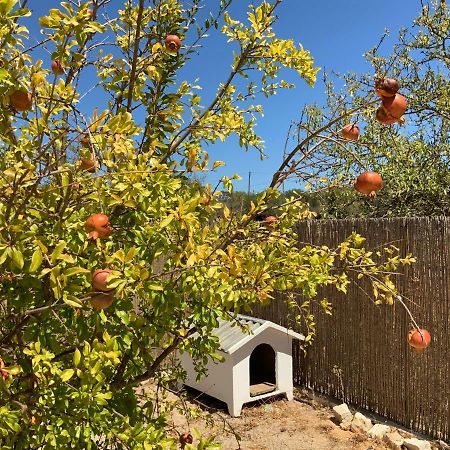Guest House Alfarrobeiras Albufeira Ngoại thất bức ảnh